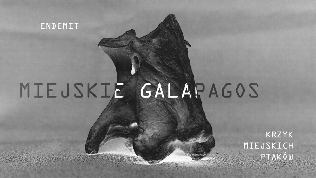 Endemit - Miejskie Galapagos (prod. Nudabis)