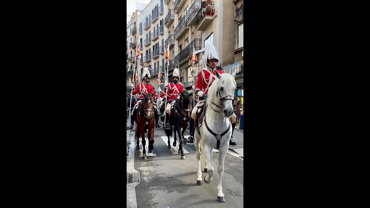 Els Tres Tombs de Sant Antoni - Barcelona 2024