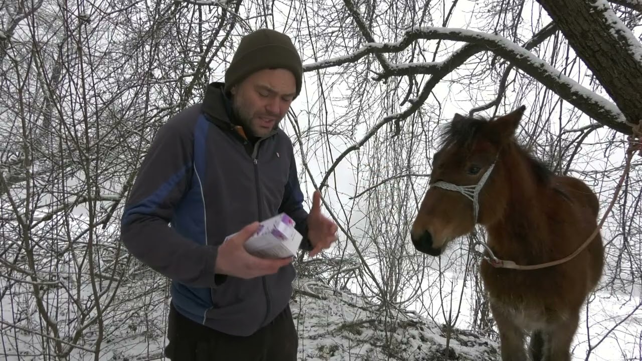 - TRETIRANJE PARAZITA KOD KONJA