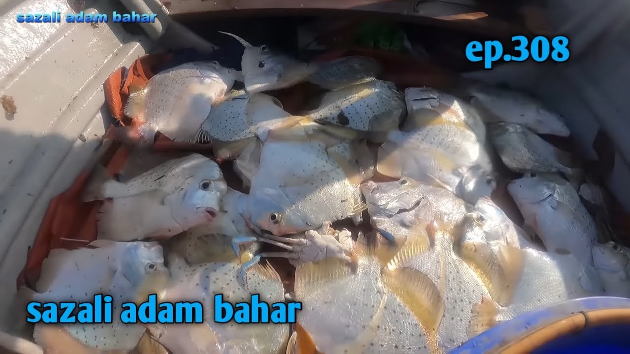 Jaring ketam tapi lain yang dapat ep.308