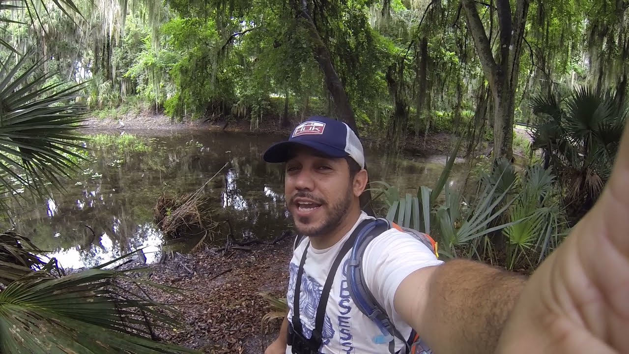 Fishing Lake Jesup In Oviedo,FL  (Home to 13,000 American Alligators)