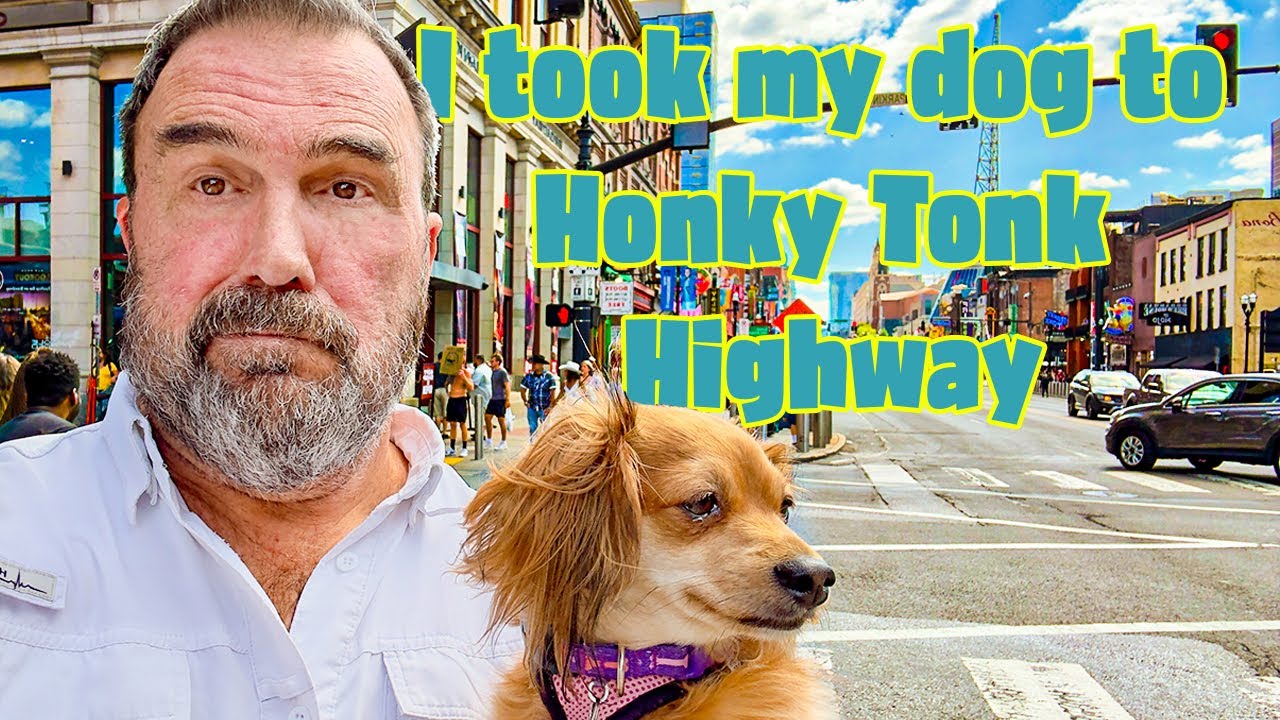 1700 Miles Across America — Road Trippin’ with My Dog