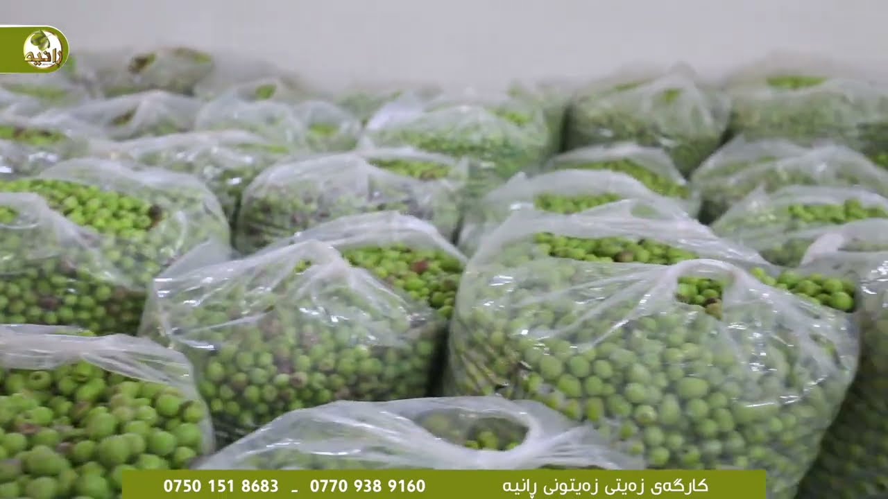 باشترین جۆری زەیتی سروشتی بە کوالێتی زۆر بەرز، خۆش و بەتام و شیاو بۆ خواردن و چێشتلێنان