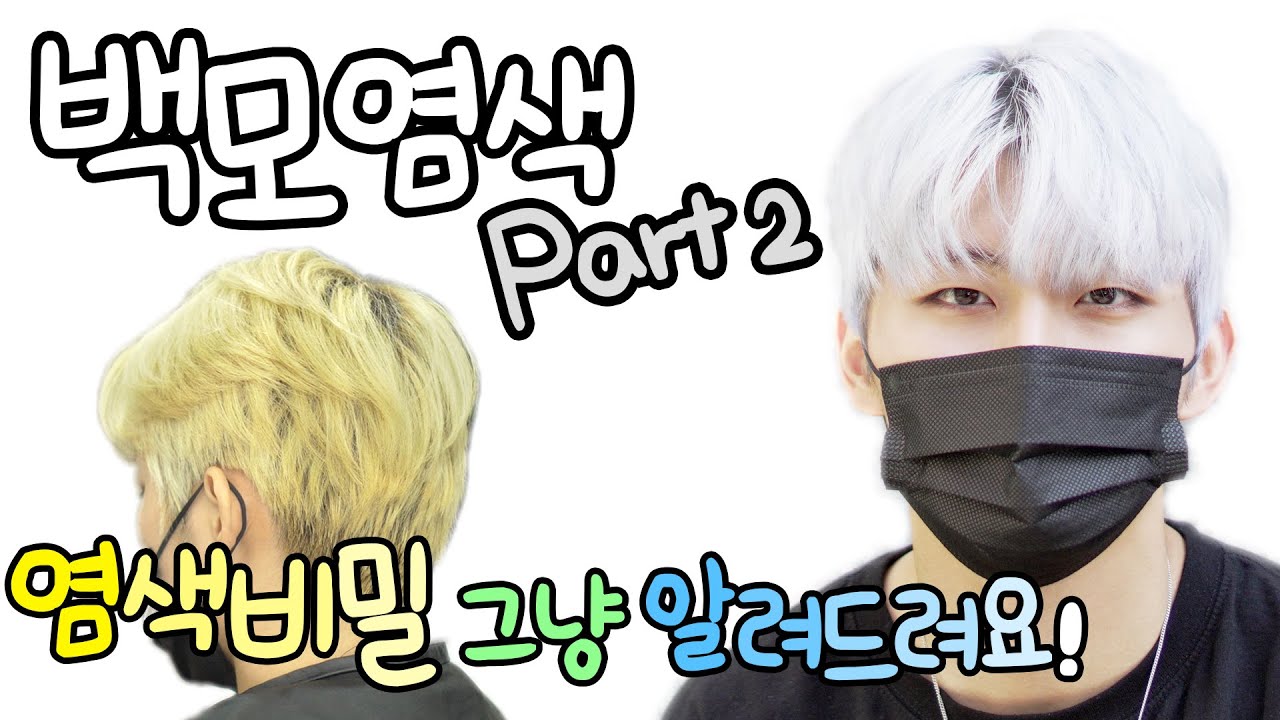 🧑🏻‍🦳백모염색2탄!! 영업비밀레시피 또 깝니다‼️ 100만원짜리 레시피입니다! 백금발 [염색반장 백모레시피/white hair color dye]