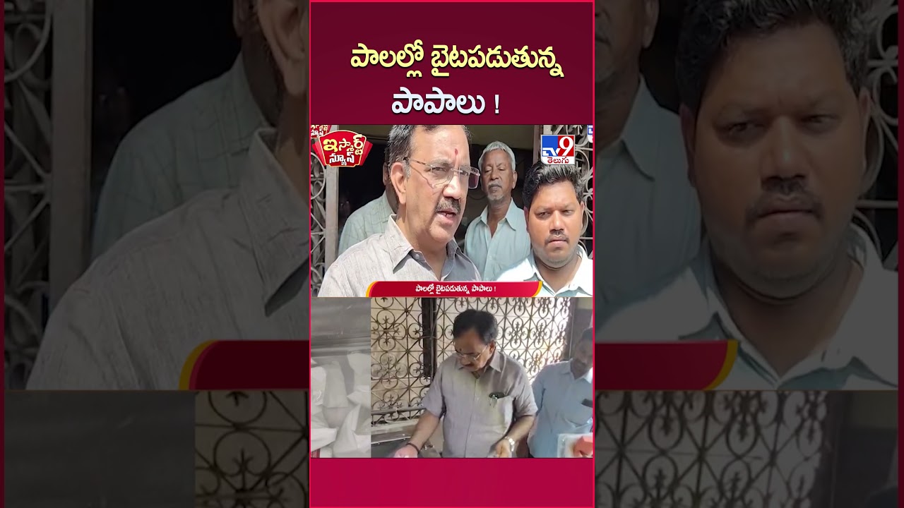 iSmart News : పాలల్లో బైటపడుతున్న పాపాలు ! | Adulterated Milk  - TV9