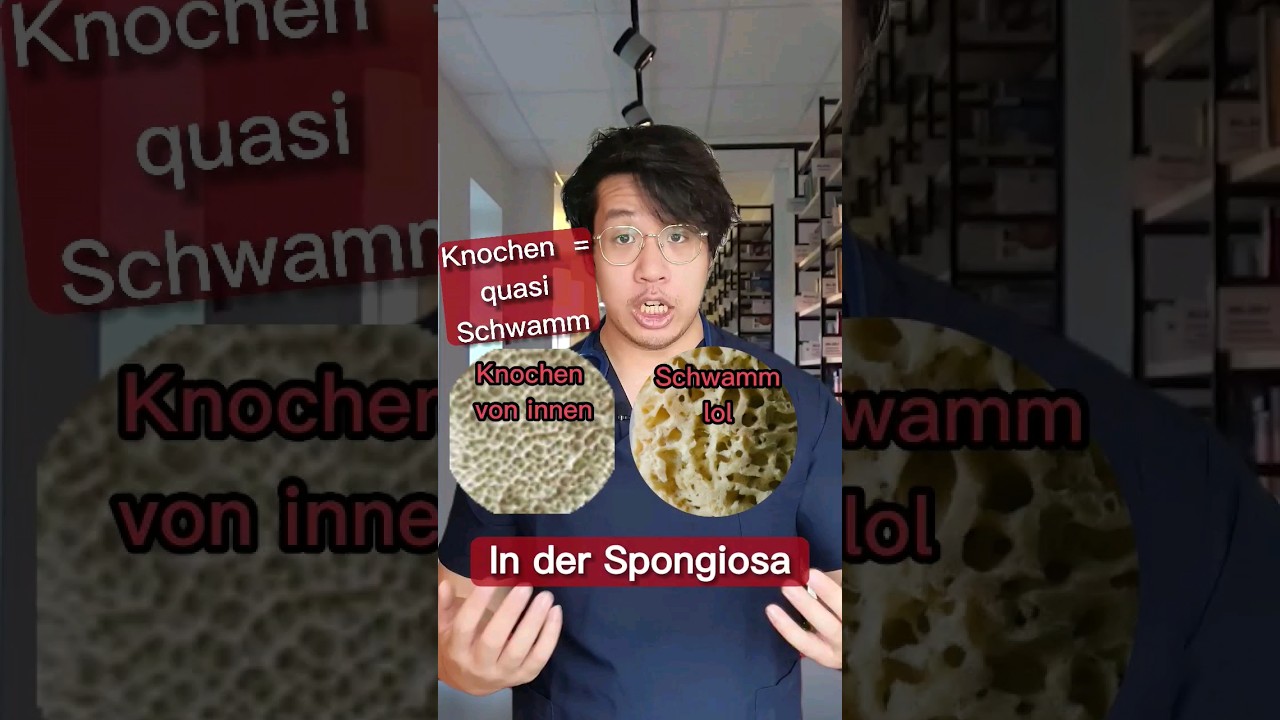 #netttoknow #medizin #wissen #knochen