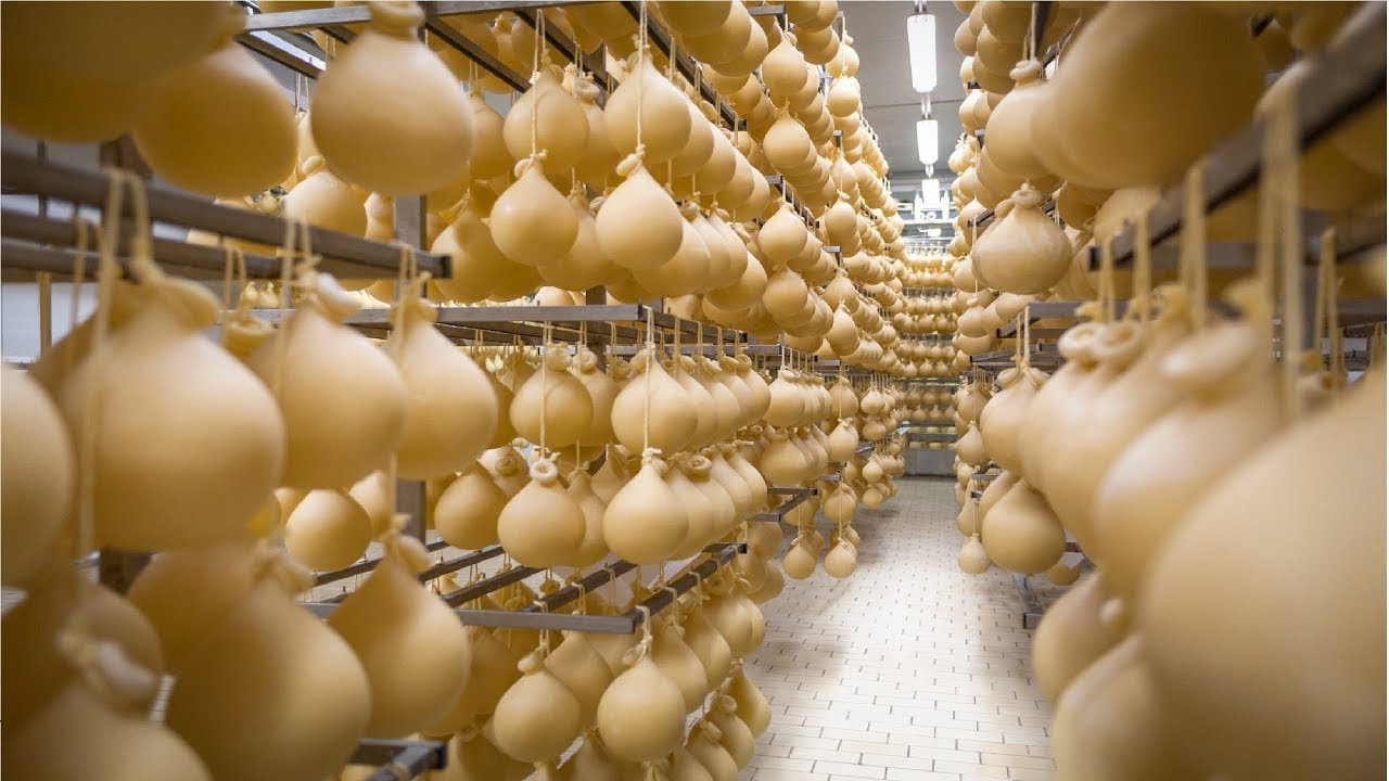 INCRÍVEL PROCESSAMENTO DE ALIMENTOS - PROCESSO DE FABRICAÇÃO DE QUEIJO DENTRO DA FÁBRICA