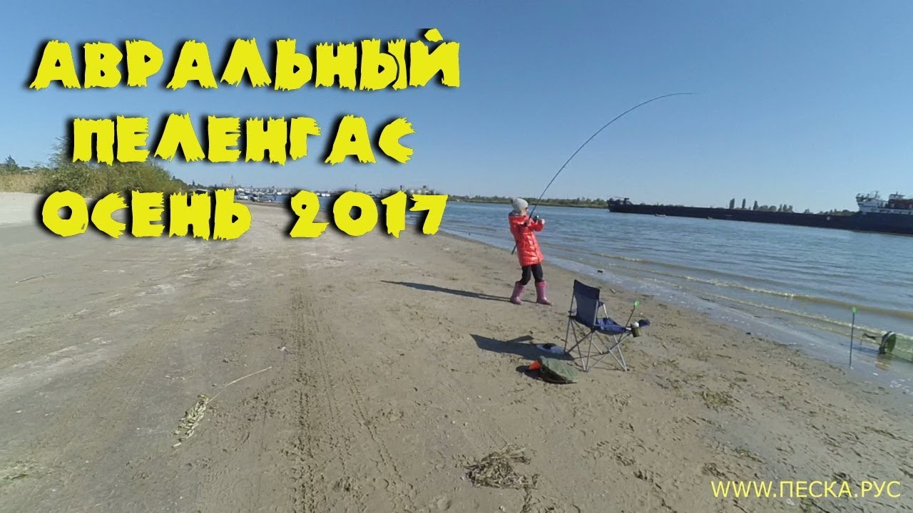 Ловля пеленгаса на Аврале/Донской пеленгас/Ловля пеленгаса осенью 2017
