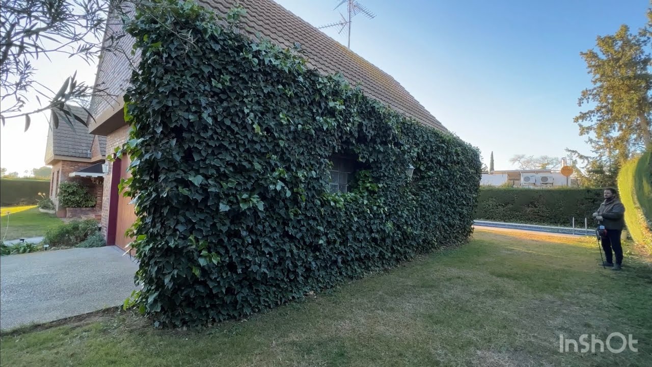 Jardineria , casa cubierta de enredadera.
