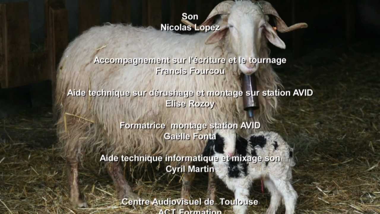 Extrait la vie d'un berger au pays Basque