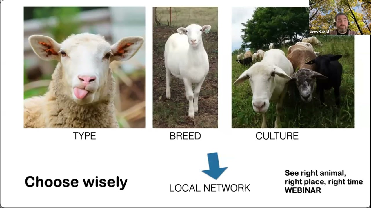 Rotational Grazing 101 Webinar with FACT