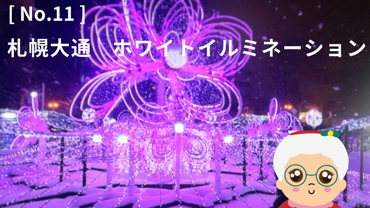 [ No.11 ]  2024年12月24日　クリスマスイブ / 札幌大通公園ホワイトイルミネーション / 私の骨折の話も。