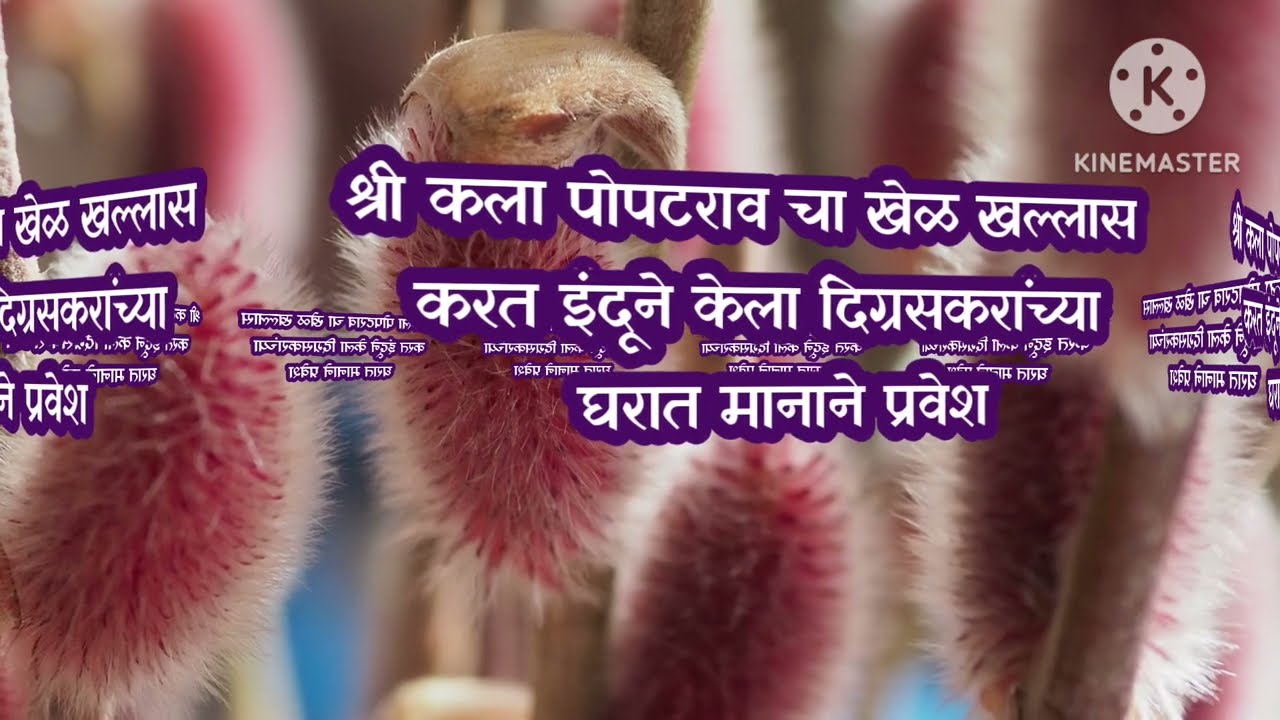 इंदूने माप ओलांडून केला दिग्रजकरांच्या वाड्यात प्रवेश|indrayani today episode