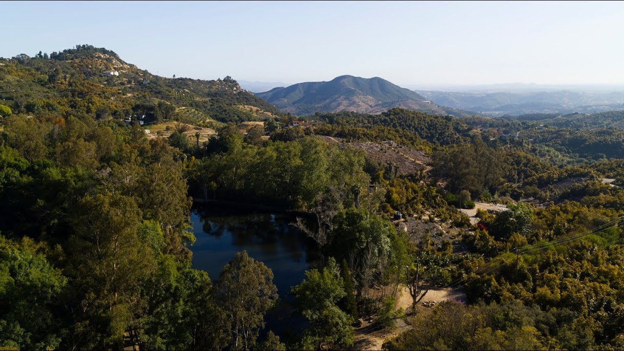 AVOCADO FARM FOR SALE - FALLBROOK, CALIFORNIA