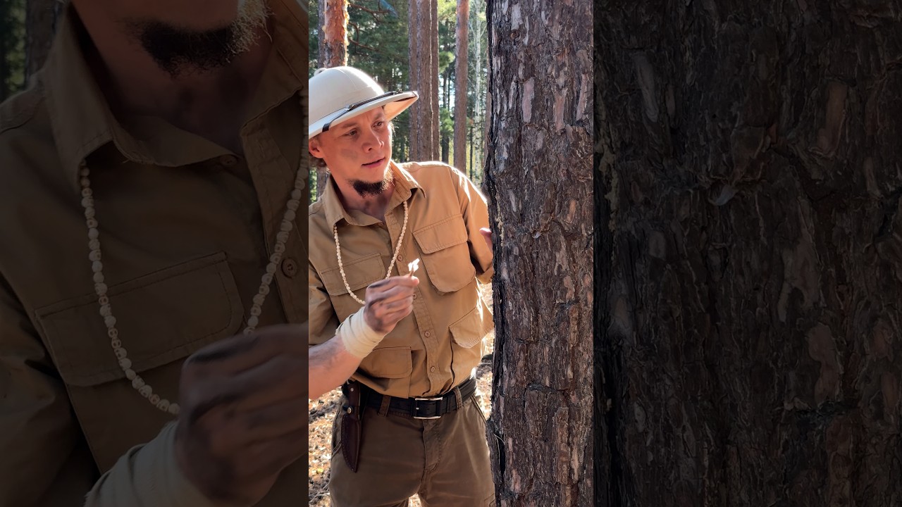 🧦💥 I'm sharing a skill on how to make fire. #outdoors #survival #bushcraft #fire #shorts