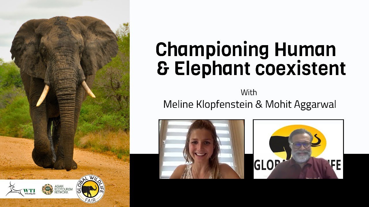 Championing Human & Elephant coexistent with Meline Klopfenstein | Hosted By Mohit Aggarwal