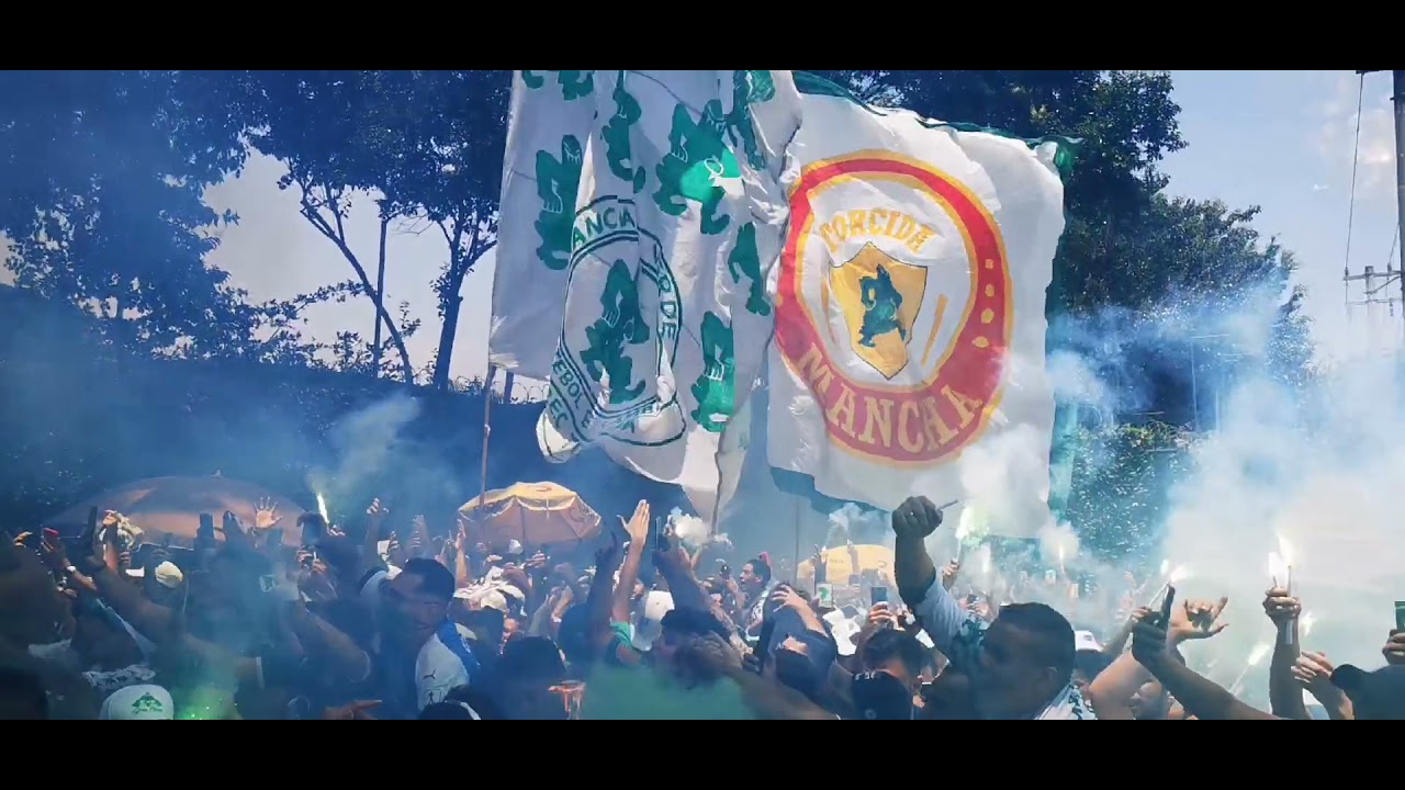 Mancha Acompanha Palmeiras na Saída Libertadores