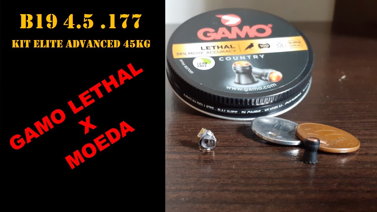 B19 4.5 Tiro na moeda com Gamo Lethal  e tiro no chumbo