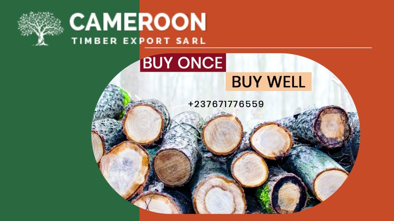 World Class Wood Processing & Manufacturing At Cameroon Timber Export Sarl