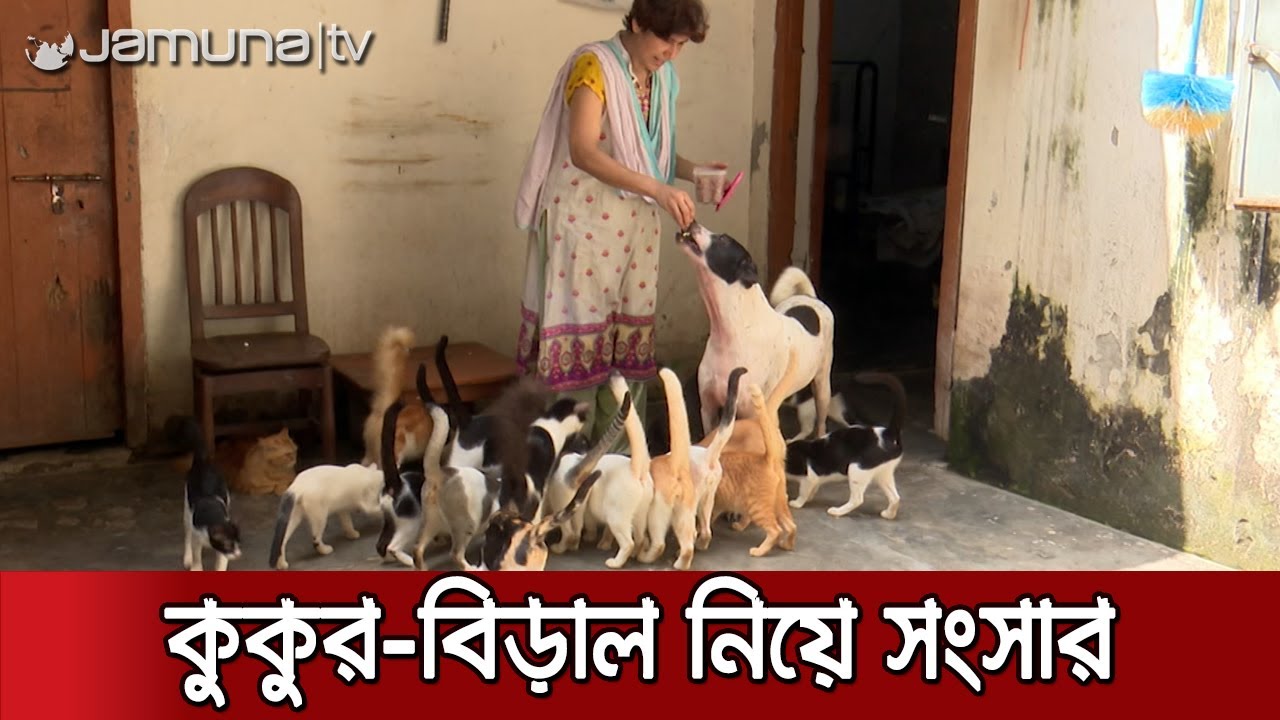 সাবিনার ডাকে ছুটে আসে চকো,পকো, টুটুসহ ৫০টি কুকুর-বিড়াল | Animal Lover Sabina