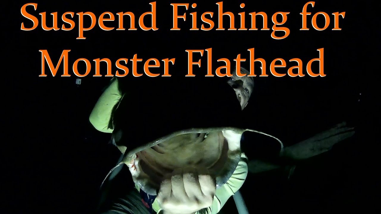 Suspend Fishing for Monster Flathead