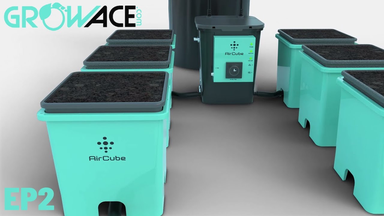 Как использовать систему выращивания AirCube Active Oxygen Ebb and Flow &mdash; AirCube Grow EP2