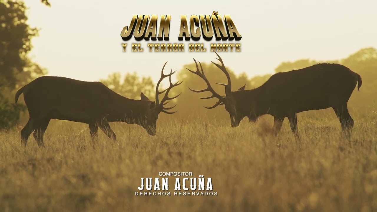 EL VENADO (Juan Acuña Y EL TERROR DEL NORTE)