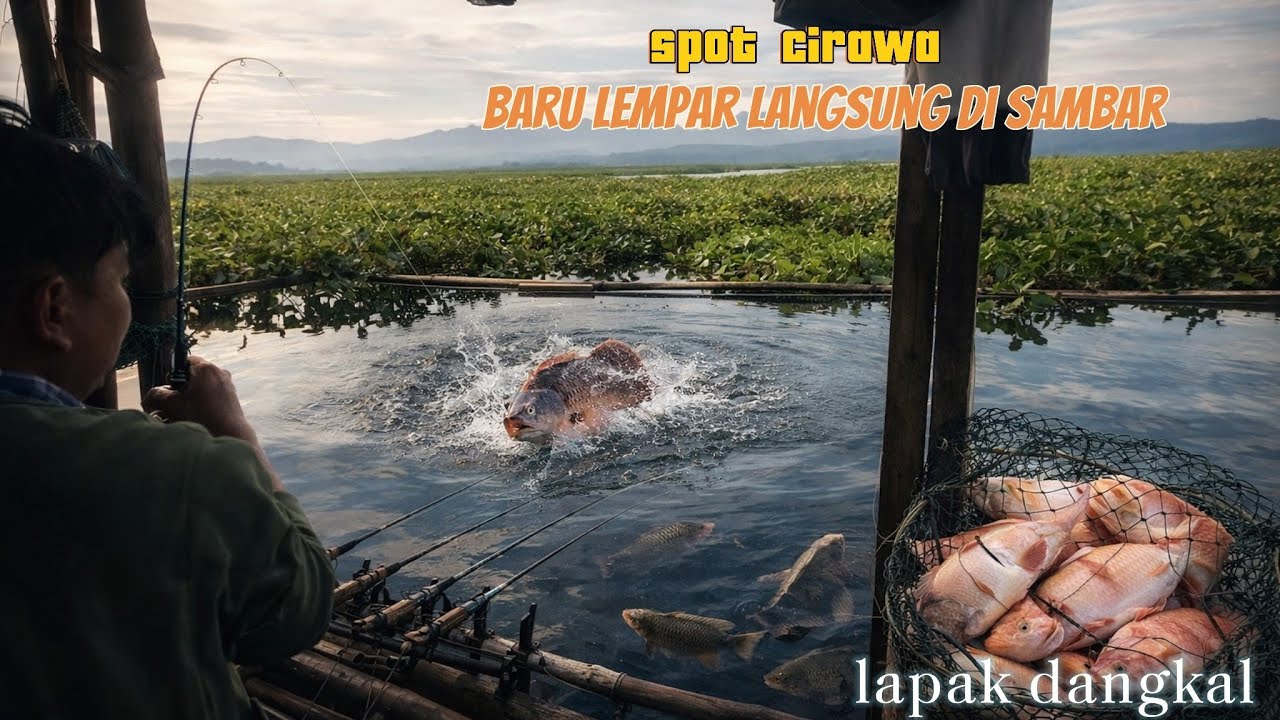 C.E.O Lagi nyamar menjadi pemancing      ///mancingcirataterbaru