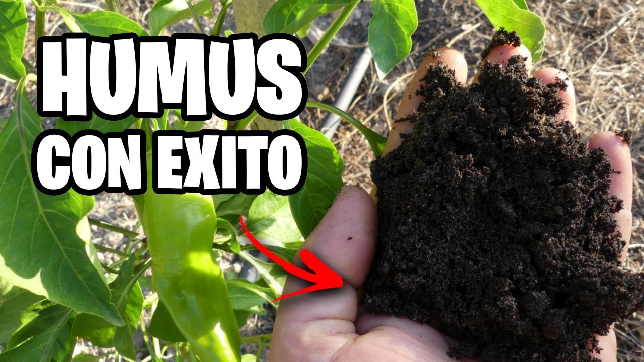Como Hacer HUMUS de LOMBRIZ con Éxito 💩 Guía Completa | La Huerta de Ivan