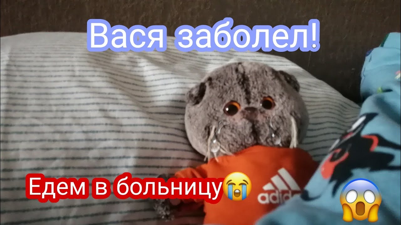 ВАСЯ ЗАБОЛЕЛ! ЕДЕМ В БОЛЬНИЦУ😓#Басик #больница