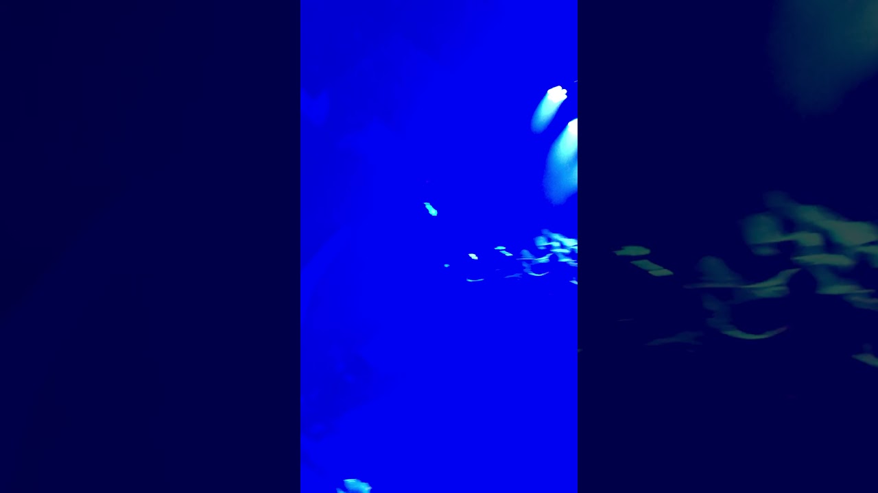 Nervo at Stereo Live Playing Your Gonna Love Again!