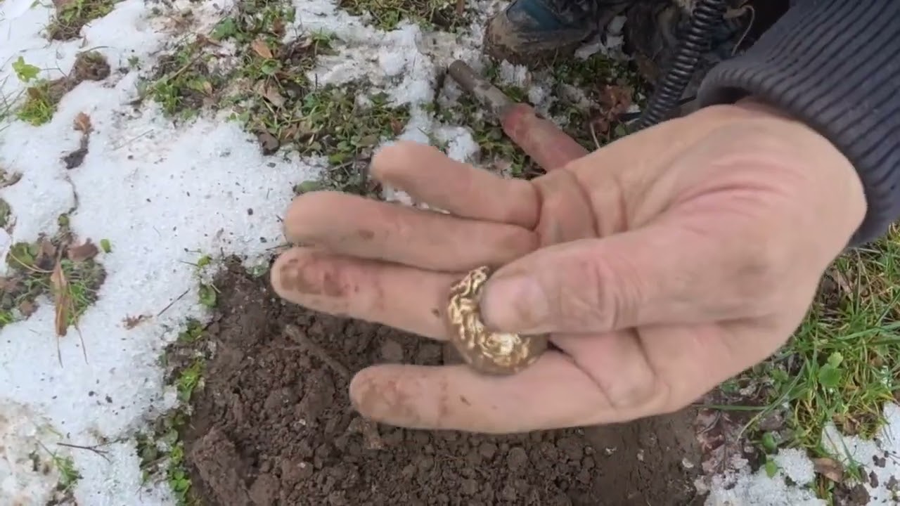 Am găsit monezi în parc 