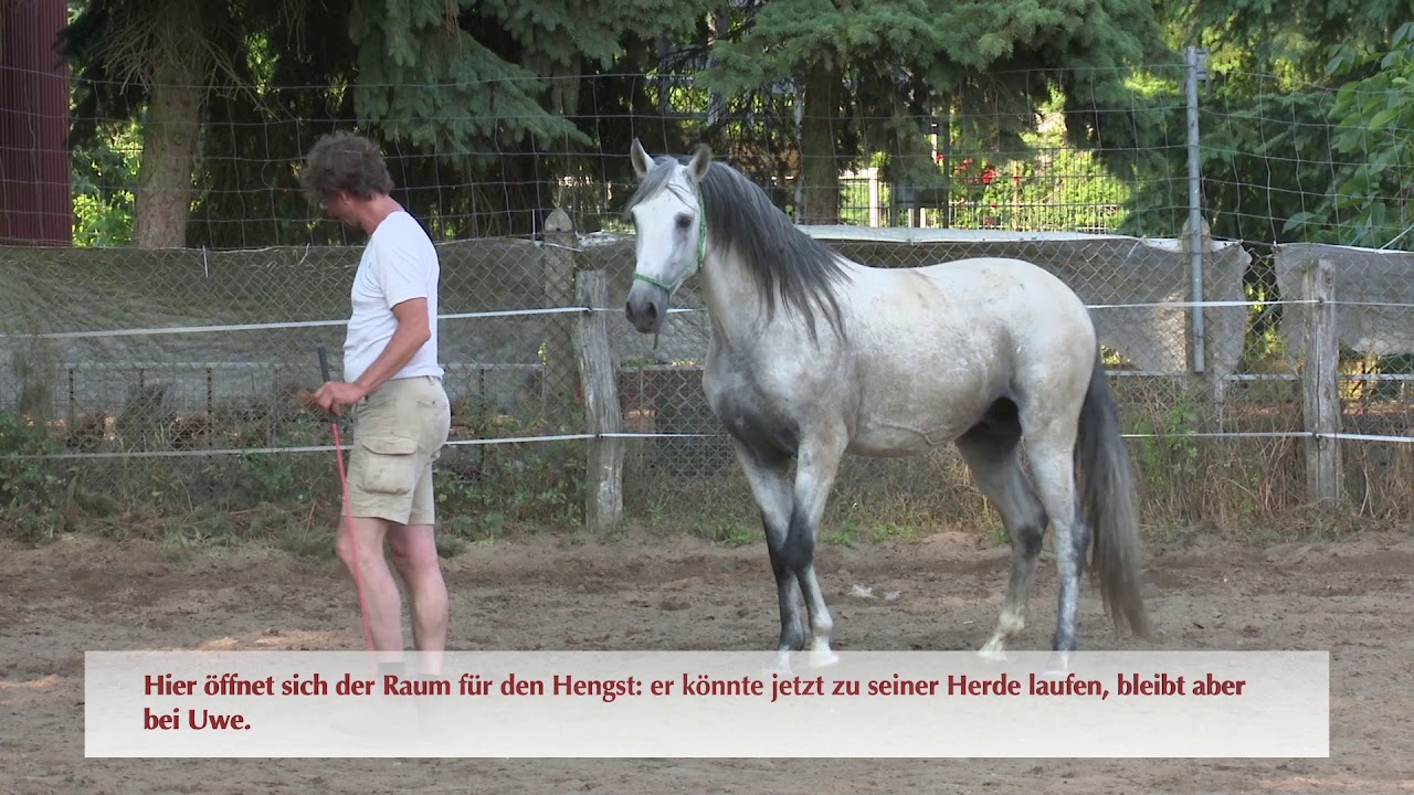 Tag 1: Isolation aus der Herde oder 