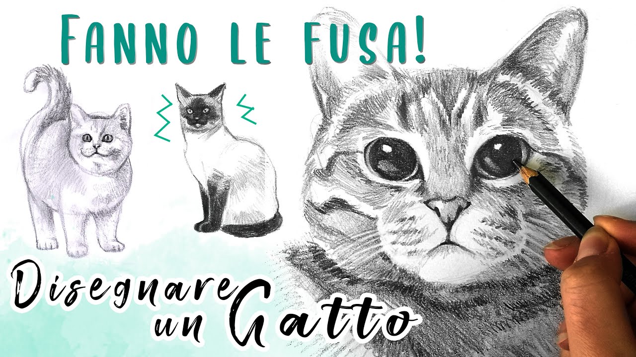 😺 COME DISEGNARE UN GATTO! Miao! Tutorial disegno realistico a matita per imparare a disegnare