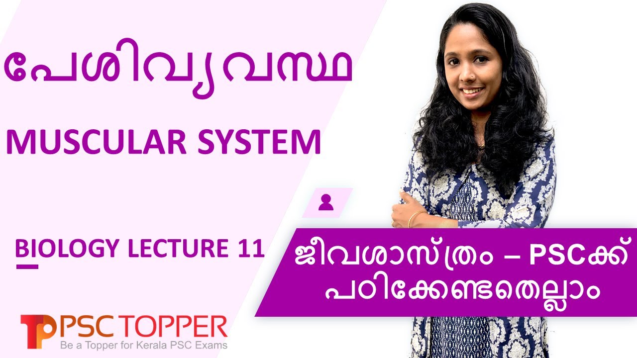 PSC Biology – Muscular System | Important & Repeated Questions | Kerala PSC | Rank making Questions