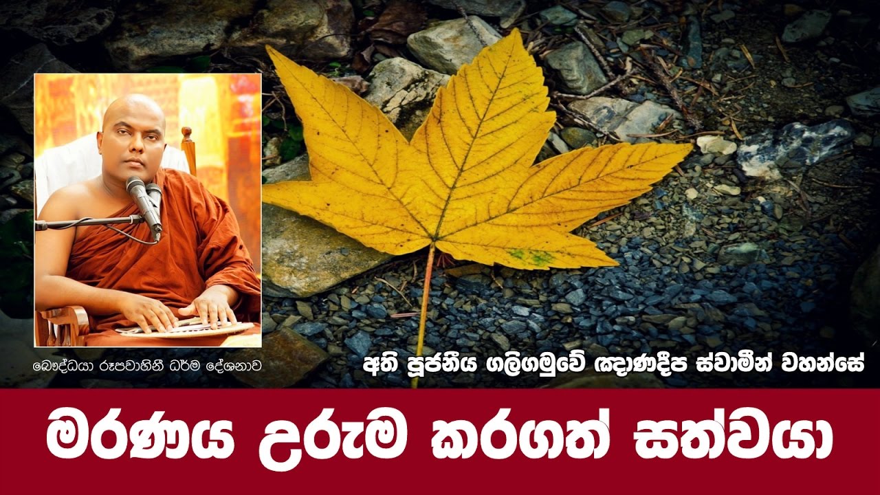 Ven Galigamuwe Gnanadeepa Thero | Maranaya
