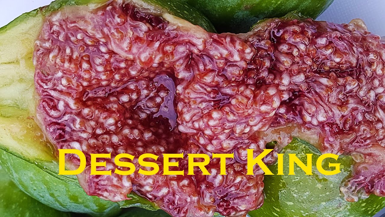 Desert King Fig - 2016 Brebas - So Damn good!