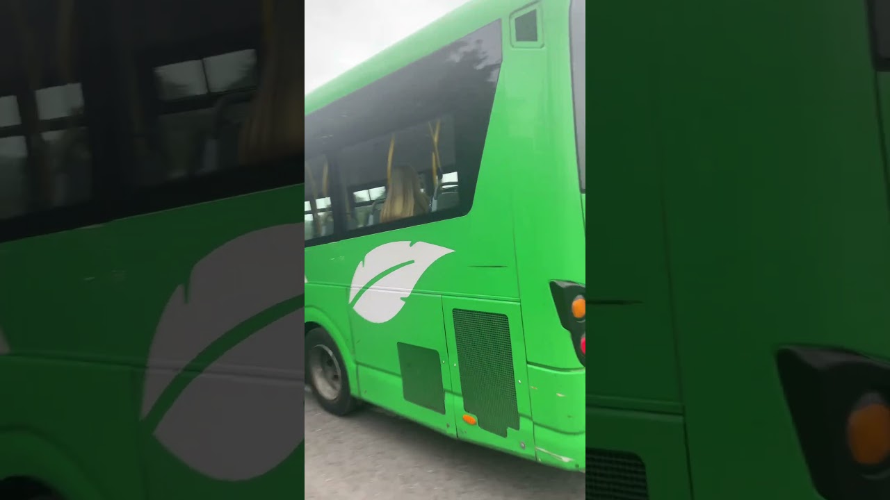 12136 | 184 to bray station | Wright streetlite | Go-Ahead Ireland | 21/9/24 | manor avenue