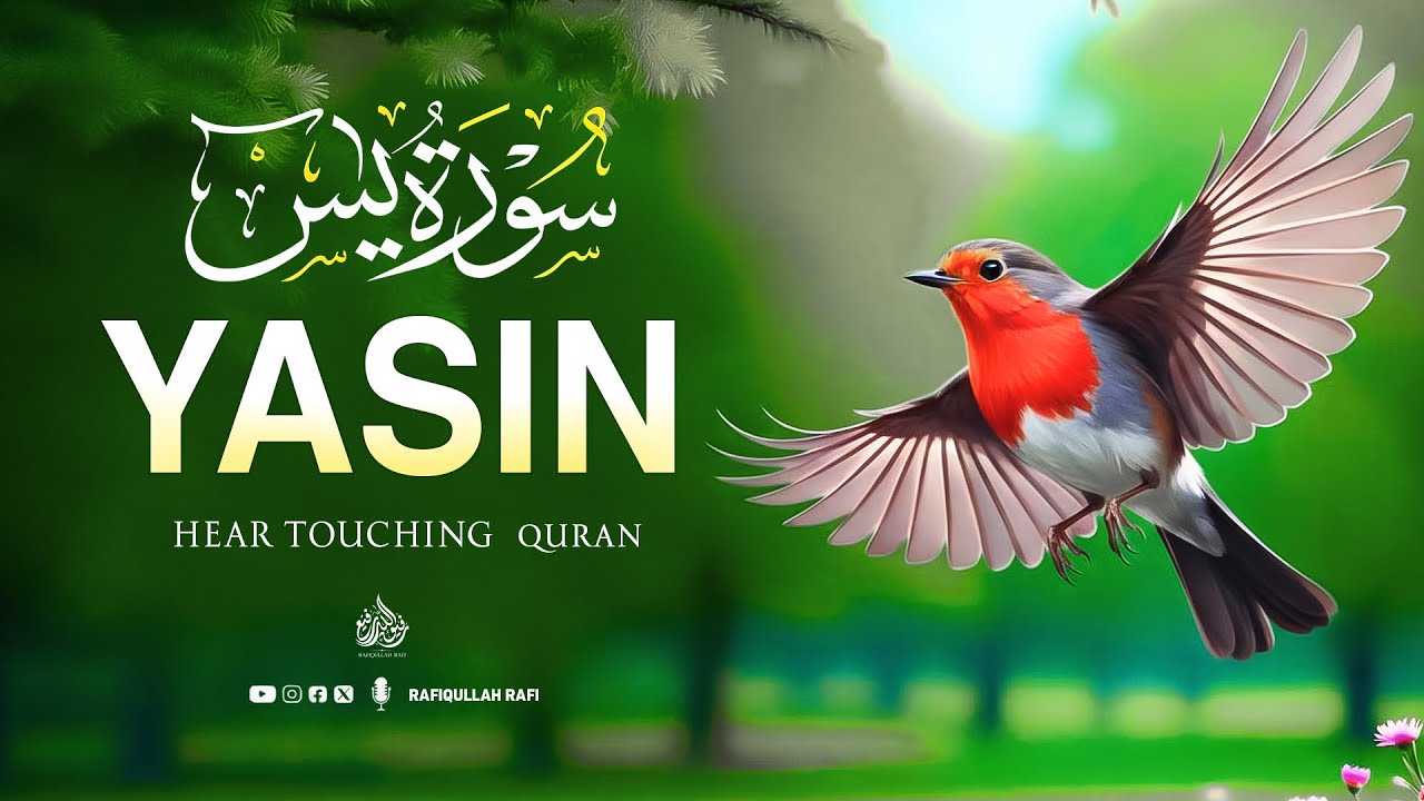 Surah Yaseen | Ultimate Quran for Anxiety Relief & Spiritual Healing #surahyasin