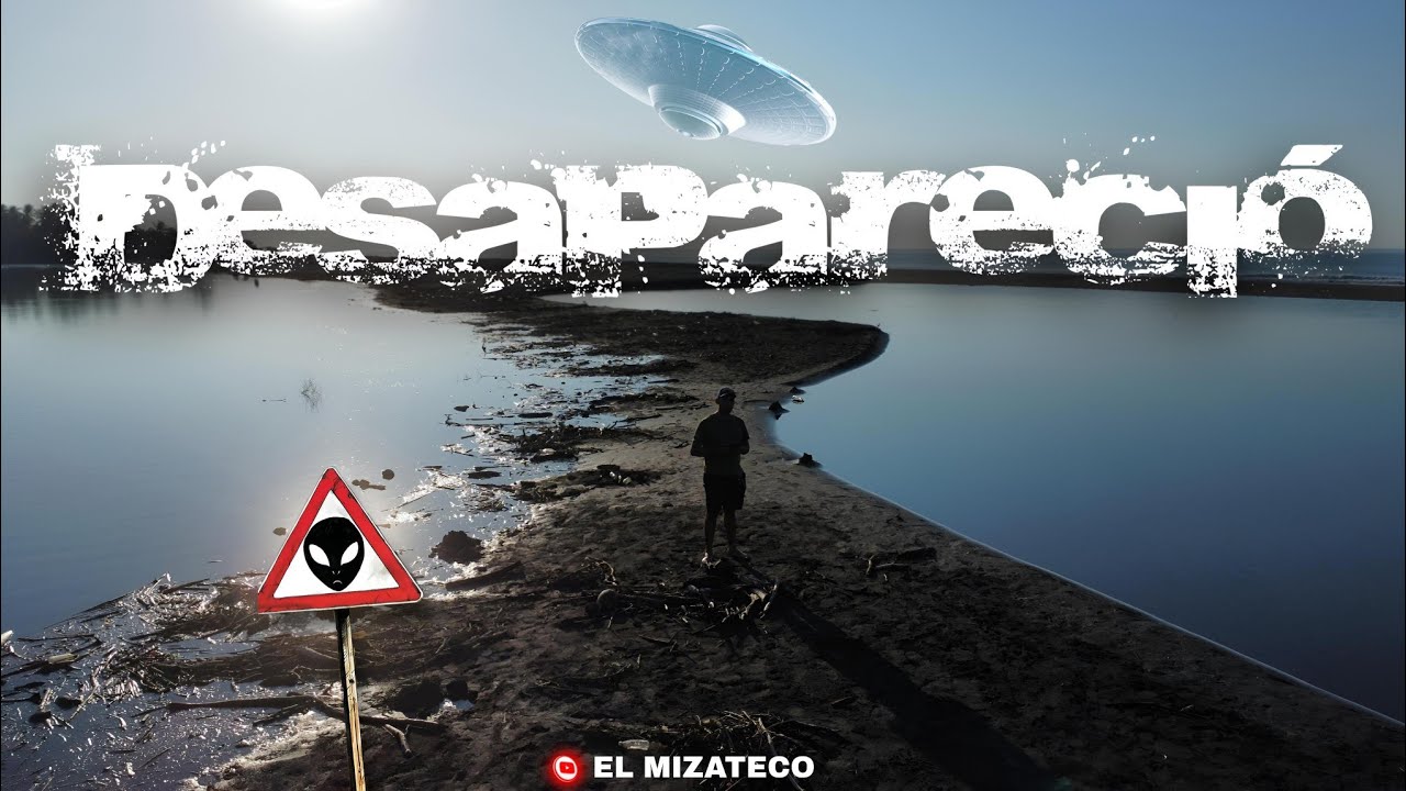 La Naturaleza silenciosa: señales que estamos ignorando 