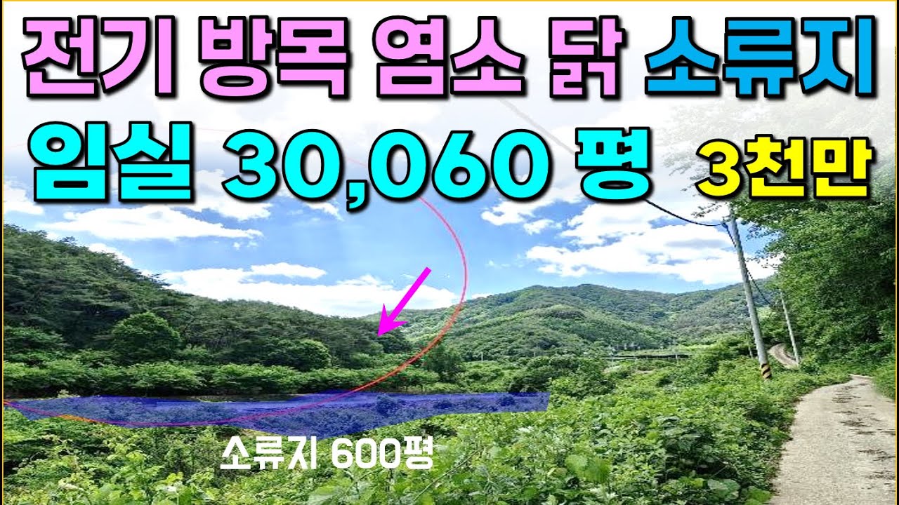 임실 . .30,060평 / 전기, 방목 염소 닭, 소류지 600평 / 생산관리지역 1800평,  섬진강 가까운 한적하고 청정한 곳, ,무연고 분묘 이장