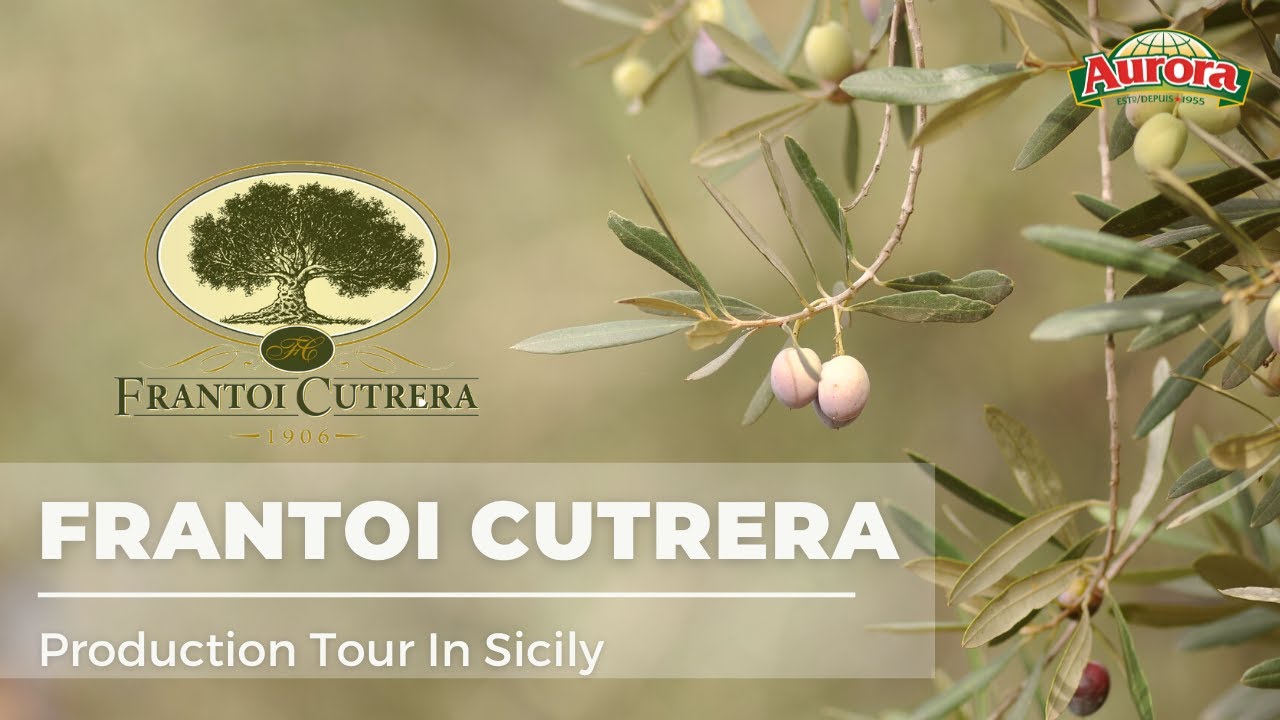 Frantoi Cutrera Olive Oil Production Tour