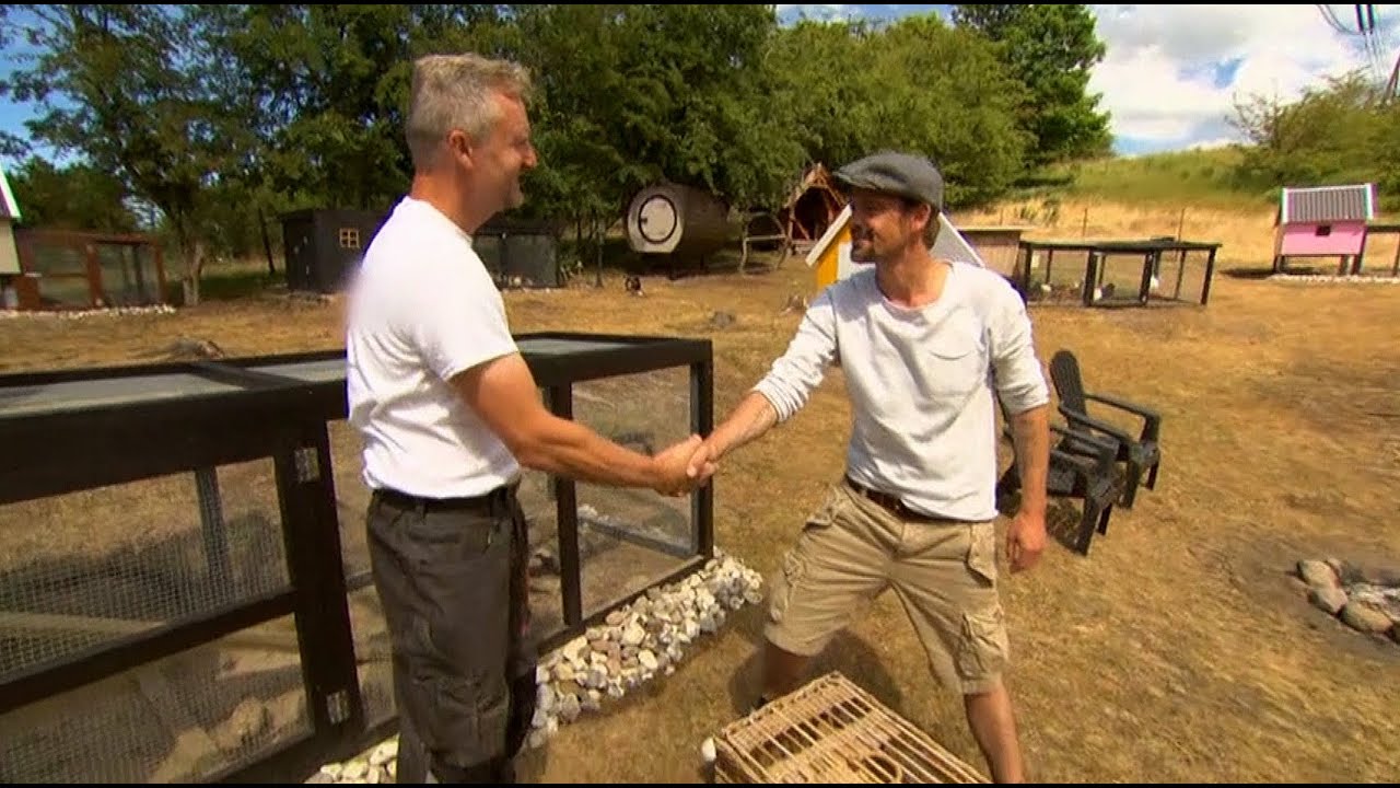 Puk og Herman (DR1) besøger Hønsegården.dk