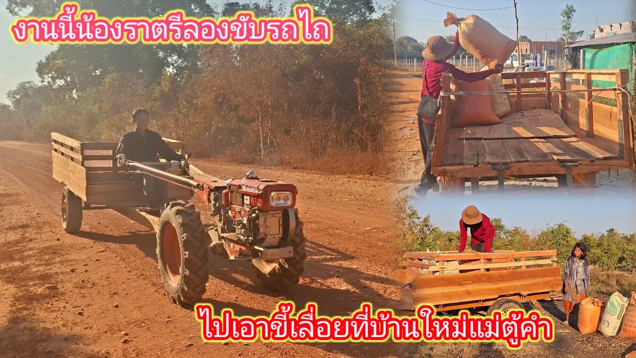 น้องราตรีลองขับรถไถ ไปเอาขี้เลื่อยอยู่บ้านใหม่ให้แม่ตู้คำ 5 กุมภาพันธ์ ค.ศ. 2026