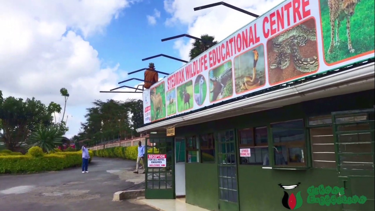 Mini-Tour-Stedmak Gardens Hotel & Animal Park! #MagicalKenya #TembeaKenya #Tour #Travel #Wildlife