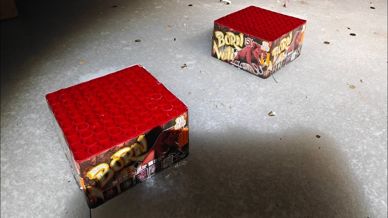 Born Wild - Srpyro CLE4137PL 100 shots X 2