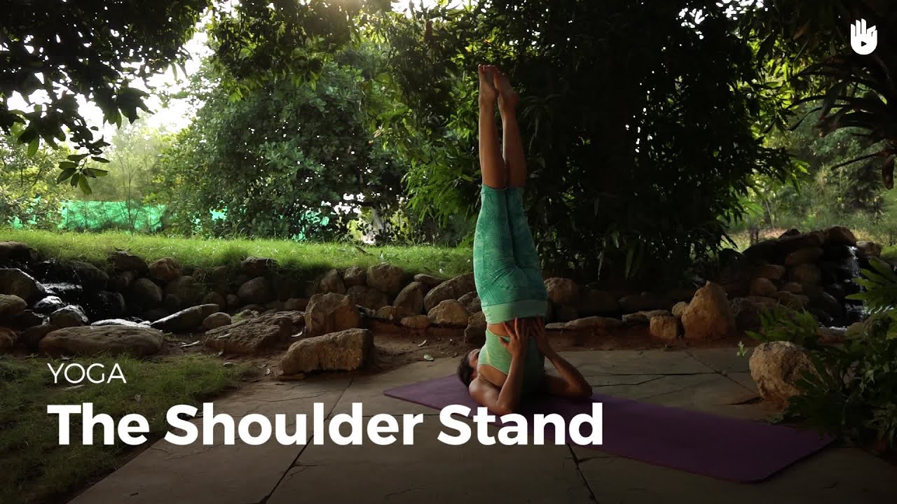 Learn the Shoulder Stand - Sarvangasana | Yoga