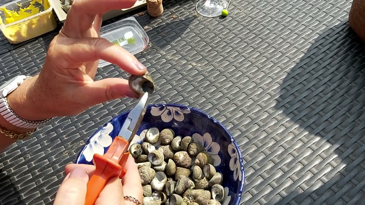 Comment manger des bigorneaux quand ils sont difficiles &agrave; &eacute;pingler !