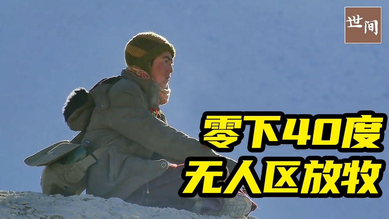 喜马拉雅山游牧民族：零下40度的无人区放牧，过着与世无争的生活 | 世间放映厅
