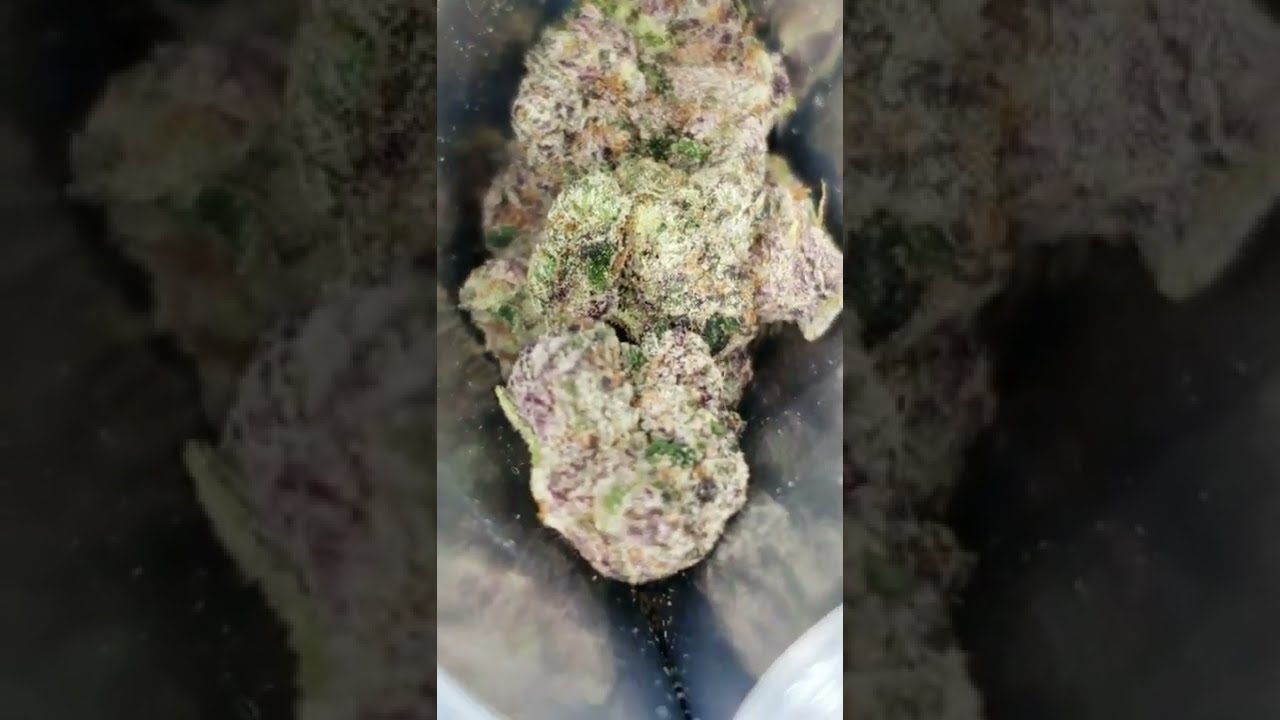 THE DAY AFTER 420 BY MOUNTBURNIN X SHOPPINGCARTS415